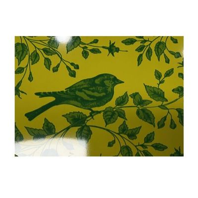 Κανονική σπείρα χάλυβα πουλιών ντυμένη δομή με το χρώμα PE/SMP/HDP/PVDF