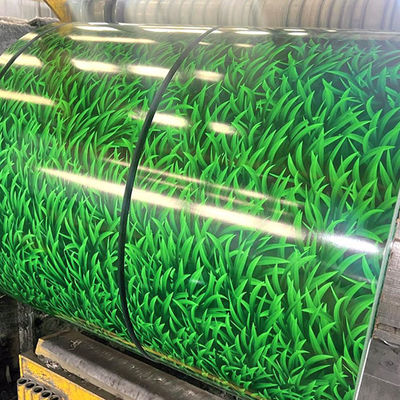 Υψηλής ποιότητας χρώμα επικαλυμμένο μοτίβο ατσάλινου τύπου 10-20um ταινία επικαλύψεως